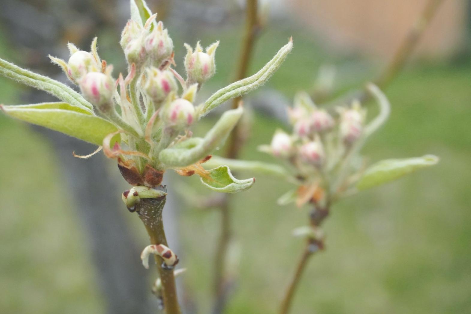 Процесс работы с флористическими креплениями